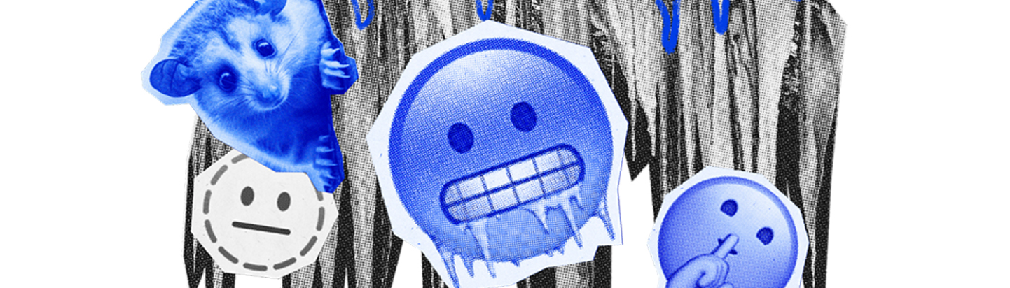 Cook’s Cookbook: What Is Your Stress Response?